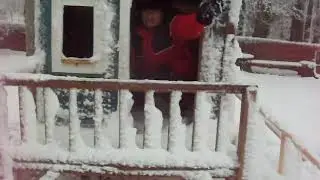 * БЕЗ  ШАЛАША**   ПАРОДИЯ
