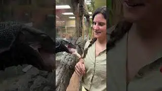 🦎 My Black Dragon is NOT Respectful 😳