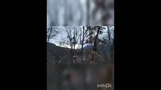 Дорога в школу