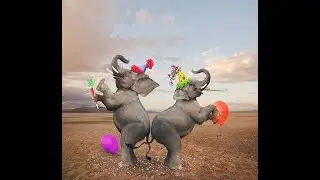 (НЕ) совместимвость людей в паре - как это сложно!