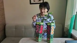 Розы в коробках! Корни и мои действия!