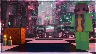 🐵 mc montage