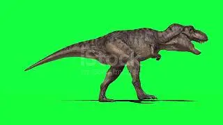 Dinosaur green screen royalty free