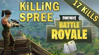 AMAZING 17 KILL GAME | Fortnite