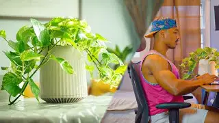 This Bioengineered Air Purifier Improved My Health: Neoplants’ Neo Px