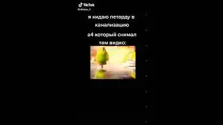 А4 (попугай) бежит от взрывов🕊️💥 TikTok