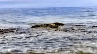 Gentle Waves for Relaxation and Sleep