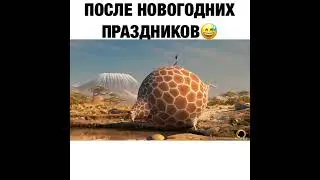 После новогодних праздников🤣🤣🤣