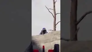 We have been trying to reach you... 