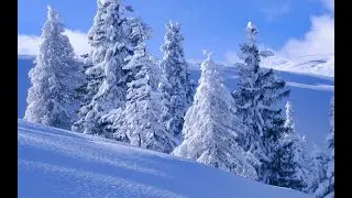 С Новым Годом!
