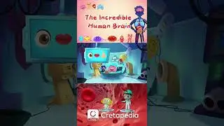 Fun Cartoons Explaining Kids How the Brain Works! #cartoon