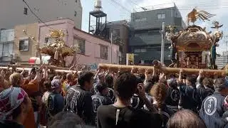 深川神明宮　例大祭　勇壮な水掛け祭　町内神輿渡御　2024/08/18  e7