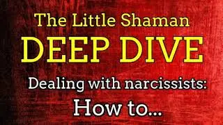 The Little Shaman DEEP DIVE: Dealing With Narcissists - How to... [COMPILATION]