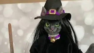 OOAK Cat Witch Outfit