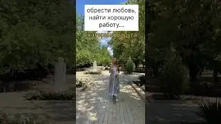 8 августа 2024 г.