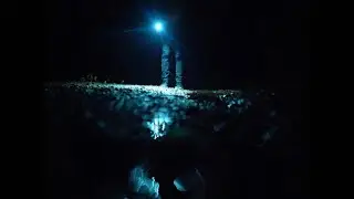 Coyote - Feverkin & yonderling