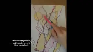 Новый день с НГ  Запорожье