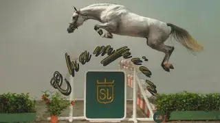 Champion || Show Jumping Music Video + 200 SUB SPECIAL ||