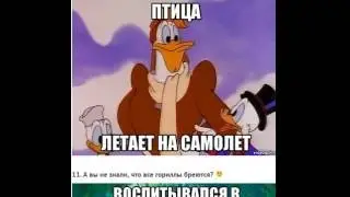 ДИСНЕЕВСКАЯ ЛОГИКА.