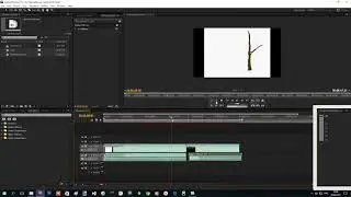 5.5 L-срез в Adobe Premiere CS5
