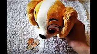 This DOG try to eat some DOLLARS $$$