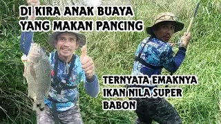 SEPOT NGERI STREK ADU KEKUATAN DIKIRA ANAK BUAYA TERNYATA..