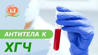 🔴  Антитела к ХГЧ
