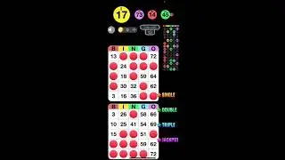 Bingo Play iPad App Review
