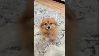 С Приходом Ноября  