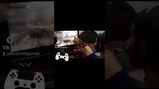 cachorro jogando need for speed !