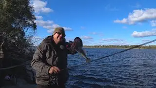 Раздача Судака с Берега