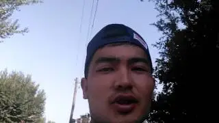 Гранаты растут в Джалал-Абаде