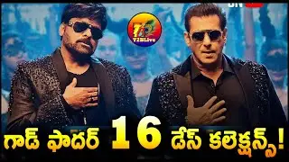 Godfather 16 Days Total Collection Worldwide | Godfather Movie 16 Days Total Collection | T2BLive