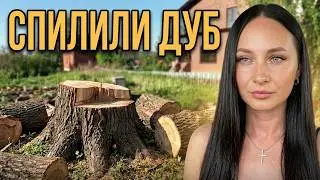 216 СПИЛИЛИ СТАРЫЙ ДУБ 🌳ЗАВОЗИМ НА УЧАСТОК ЗЕМЛЮ