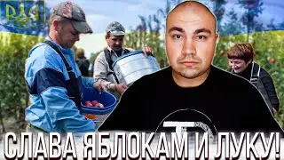 Заробитчане в Польше