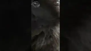 Здрасте я из компании арифлейм!