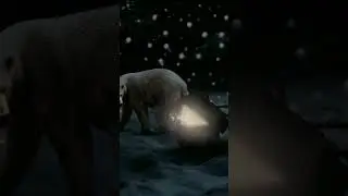 bear manipulation #photoshop #viralvideo #editing #editingvideo #creative #graphicdesign #photoshop