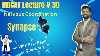 30 - Synapse | MDCAT Series | Lecture # 30 