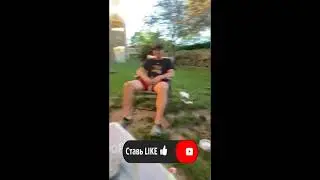 Кот под прикрытием, прикольный и забавный #Shorts