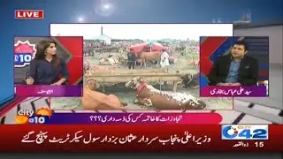 WATCH!! SOPs Issued For Eid-ul-Azha Cattle Markets