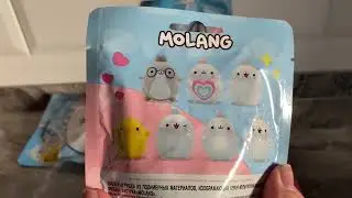 Molang распаковка ищем лучшую фигурку. Sweet box molang