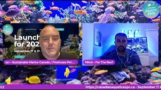 For The Reef Podcast   Episode 19   Updates, Canadian Aquatic Expo, Mitch's Ecodivers Reef Foundatio