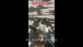 Sen Bunu Hak Etmedin Benim Canım Oğlum