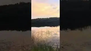 #река #природа #travel #nature