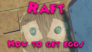 Raft - How to get eggs