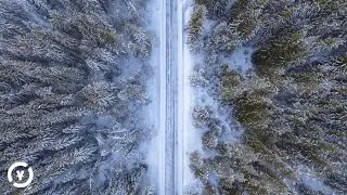 Audioscribe - Free Fall [NCS Release] | 1 Hour Version ♫ | Audio Visualizer / Audio Spectrum ♫