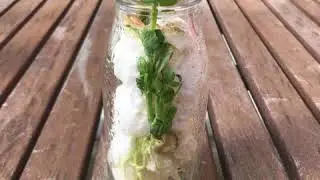 Mr Shaha's Recipes for Wonder