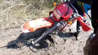 Mud Bum
