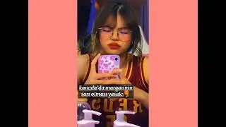 Bazı ülkelerin ilginc yasakları🔥💯