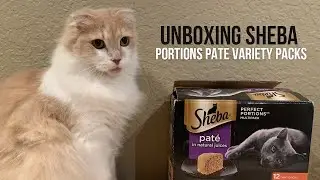 Unboxing the Sheba Perfect Portions Paté Wet Cat Food Tray Variety Packs | FURRIENDS CORNER